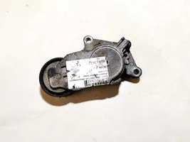 Ford Focus C-MAX Napinacz paska alternatora 