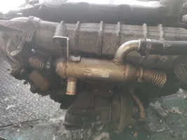 Citroen Xsara Picasso Valvola di raffreddamento EGR 9627242880