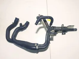 Nissan Pathfinder R51 Трубка (трубки)/ шланг (шланги) 