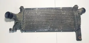 Nissan Pathfinder R51 Chłodnica powietrza doładowującego / Intercooler 14461