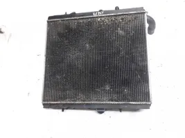 Fiat Ulysse Dzesēšanas šķidruma radiators 870204w