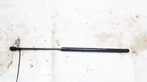 Renault Scenic I Tailgate/trunk strut/damper 7700828454