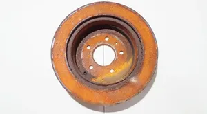 Chevrolet Captiva Rear brake disc ventiliuojamas