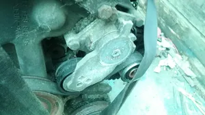 Citroen C3 Napinacz paska alternatora 