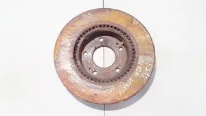 Hyundai Sonata Front brake disc ventiliuojamas