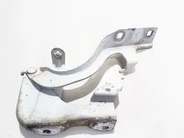 Opel Antara Engine bonnet/hood hinges 