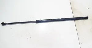 Opel Antara Tailgate/trunk strut/damper 96661403