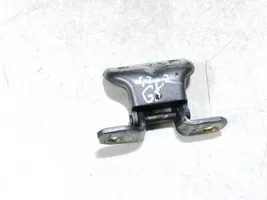 Hyundai XG Rear door lower hinge 