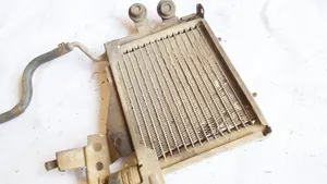 Volkswagen PASSAT B5 Radiateur de refroidissement 