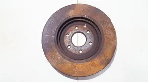 Nissan Pathfinder R51 Front brake disc ventiliuojamas