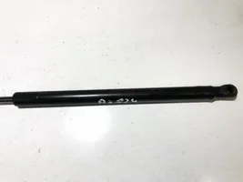 KIA Cerato Tailgate/trunk strut/damper 817702f210