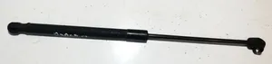 Hyundai Santa Fe Tailgate/trunk strut/damper 