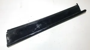 Ford Focus Rear door glass trim molding 