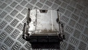 Renault Laguna II Sterownik / Moduł ECU 0281010482