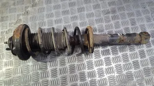 Hyundai Sonata Rear coil spring 