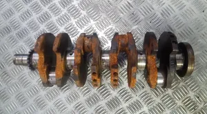 Citroen Saxo Crankshaft 