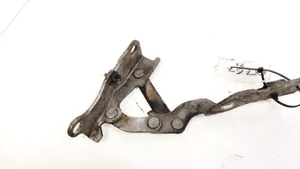 Hyundai Sonata Engine bonnet/hood hinges 