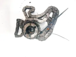 Ford Transit -  Tourneo Connect Timing chain (engine) 