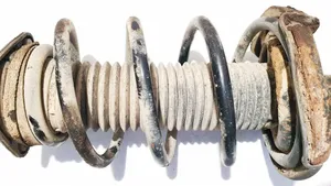 Ford Focus Front coil spring 