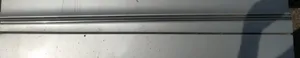 Mercedes-Benz C W203 Rivestimento della portiera anteriore (modanatura) 