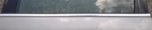 Volkswagen PASSAT B5.5 Rivestimento modanatura del vetro della portiera posteriore 