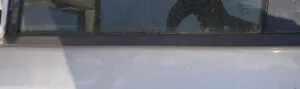 Land Rover Freelander 2 - LR2 Front door glass trim molding 