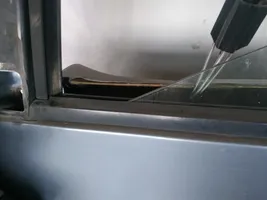 Ford Galaxy Listwa / Uszczelka szyby drzwi 