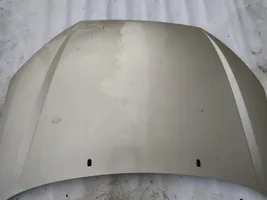 Ford Focus Engine bonnet/hood pilkas