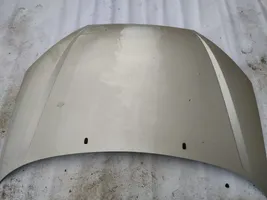 Ford Focus Engine bonnet/hood pilkas