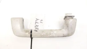 Ford Focus Front interior roof grab handle 