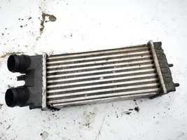 Citroen Xsara Picasso Chłodnica powietrza doładowującego / Intercooler 2021w12