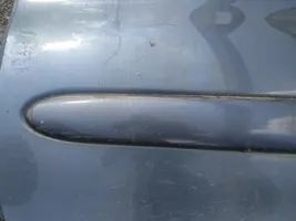 Citroen Xsara Picasso Rivestimento della portiera anteriore (modanatura) 