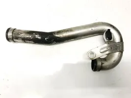 Renault Megane III EGR-linjan letku 744818