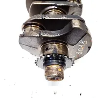 Renault Scenic I Crankshaft 