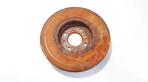 Renault Scenic I Front brake disc ventiliuojamas