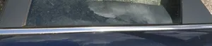 Opel Vectra C Rivestimento modanatura del vetro della portiera posteriore 