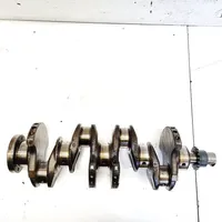 Citroen Berlingo Crankshaft 