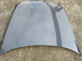 Volkswagen Phaeton Engine bonnet/hood MELYNAS