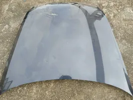 Volkswagen Phaeton Engine bonnet/hood MELYNAS