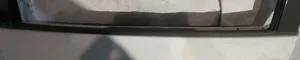 Volkswagen New Beetle Front door glass trim molding 