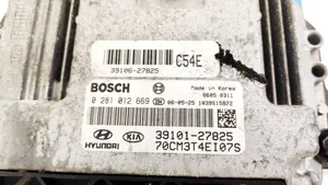 Hyundai Santa Fe Sterownik / Moduł ECU 3910127825