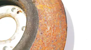 Hyundai Santa Fe Front brake disc ventiliuojamas