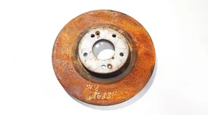 Hyundai Santa Fe Front brake disc ventiliuojamas