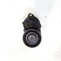 BMW 3 E46 Napinacz paska alternatora f2260082