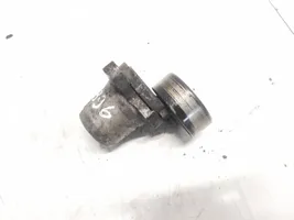 Hyundai Santa Fe Generator/alternator belt tensioner 