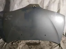 Renault Scenic I Engine bonnet/hood pilkas