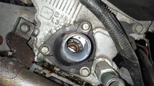 Nissan Micra Tubo flessibile del liquido di raffreddamento del motore 11060BX000