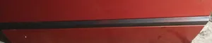 Mercedes-Benz C W203 Front door trim (molding) 