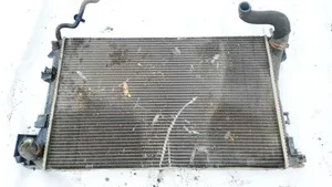 Opel Signum Dzesēšanas šķidruma radiators 24418343