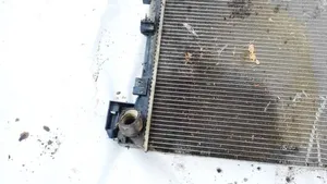 Opel Signum Dzesēšanas šķidruma radiators 24418343